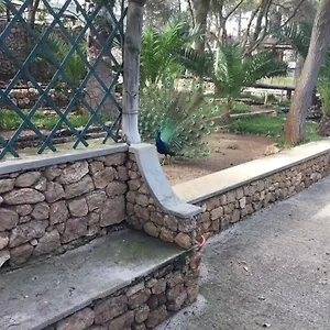 16 , Porto Santo Portogallo